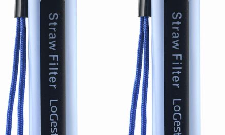 2 Pack Water Filter Straw review