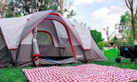 IFAST 2/6 Family Camping Tent Review