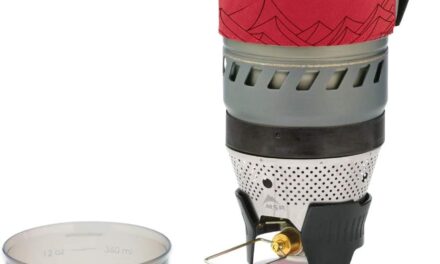 MSR WindBurner Stove System Review